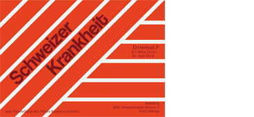 flyer2011